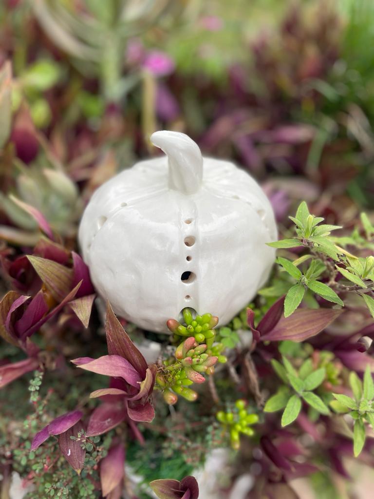 White pumpkin 1