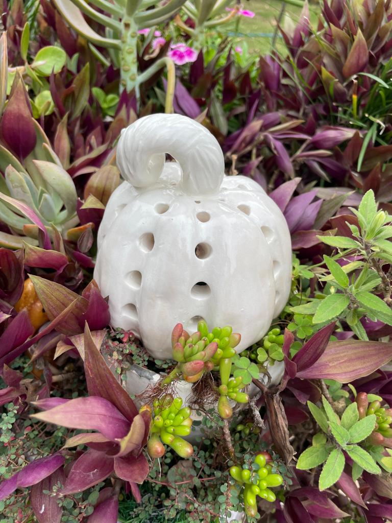 White pumpkin 2
