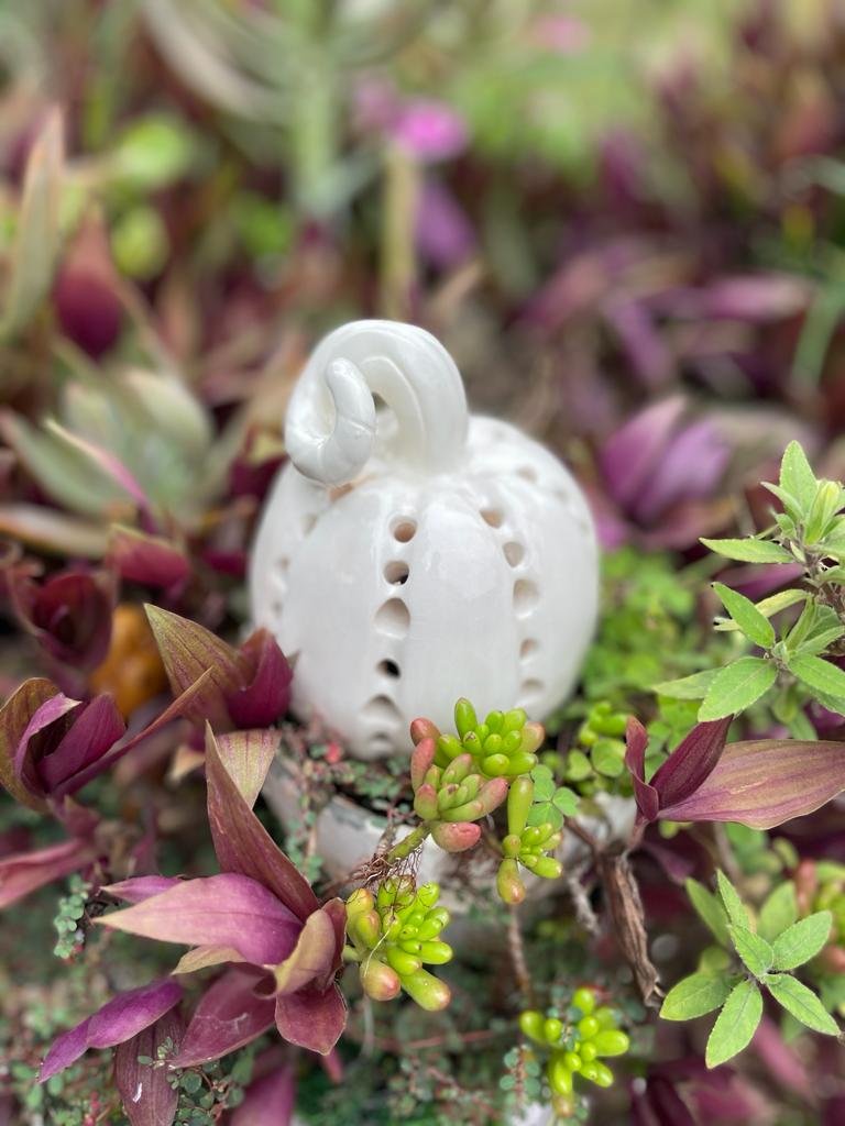 White Pumpkin 3
