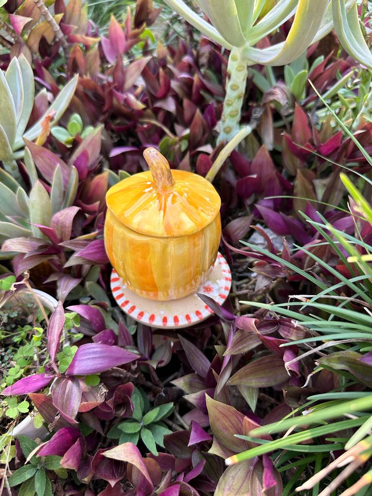 Small orange yellow pumpkin with lid