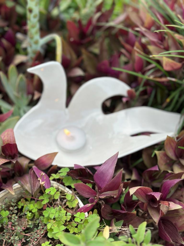 White birds