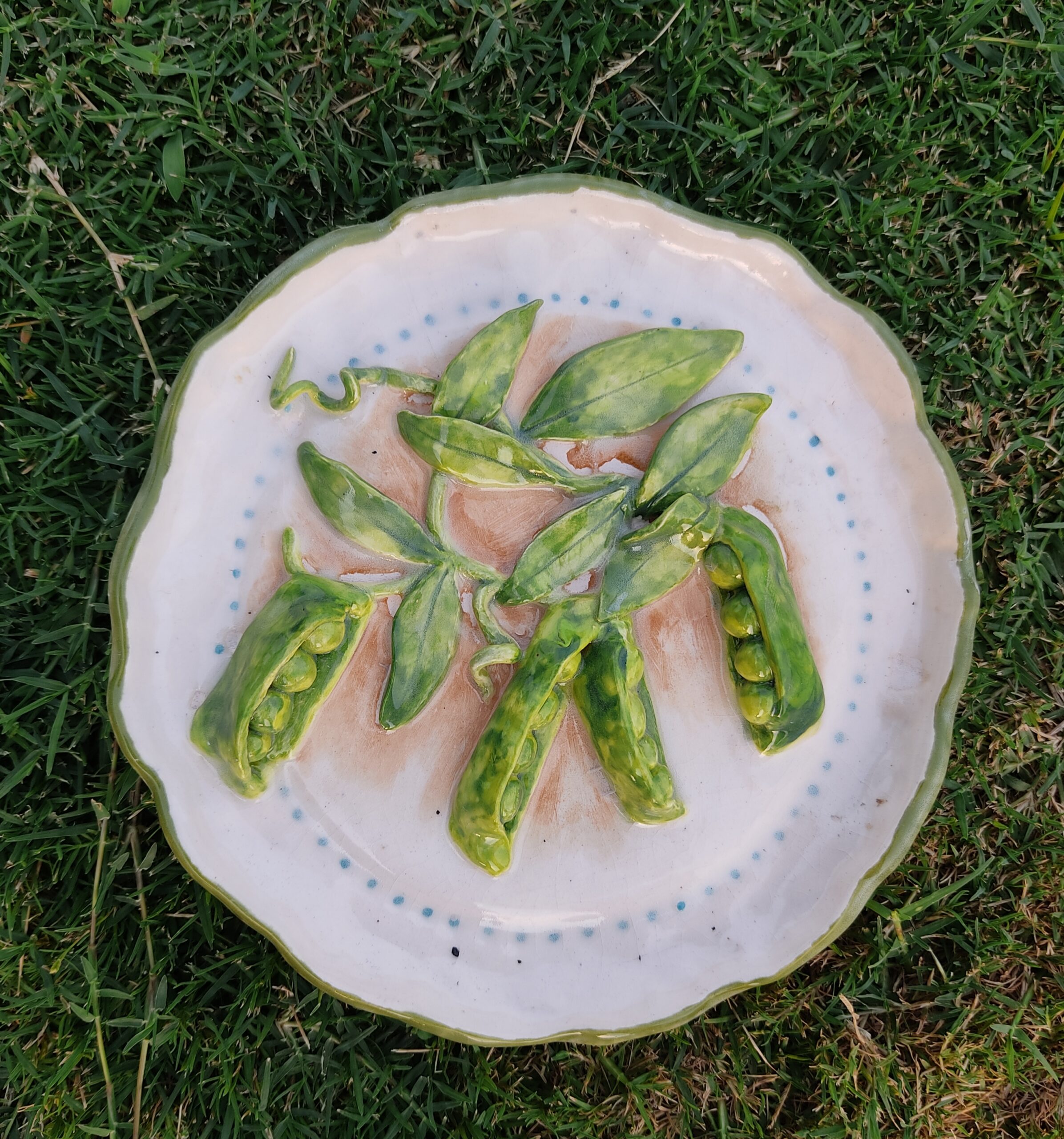 3D plates (peas)