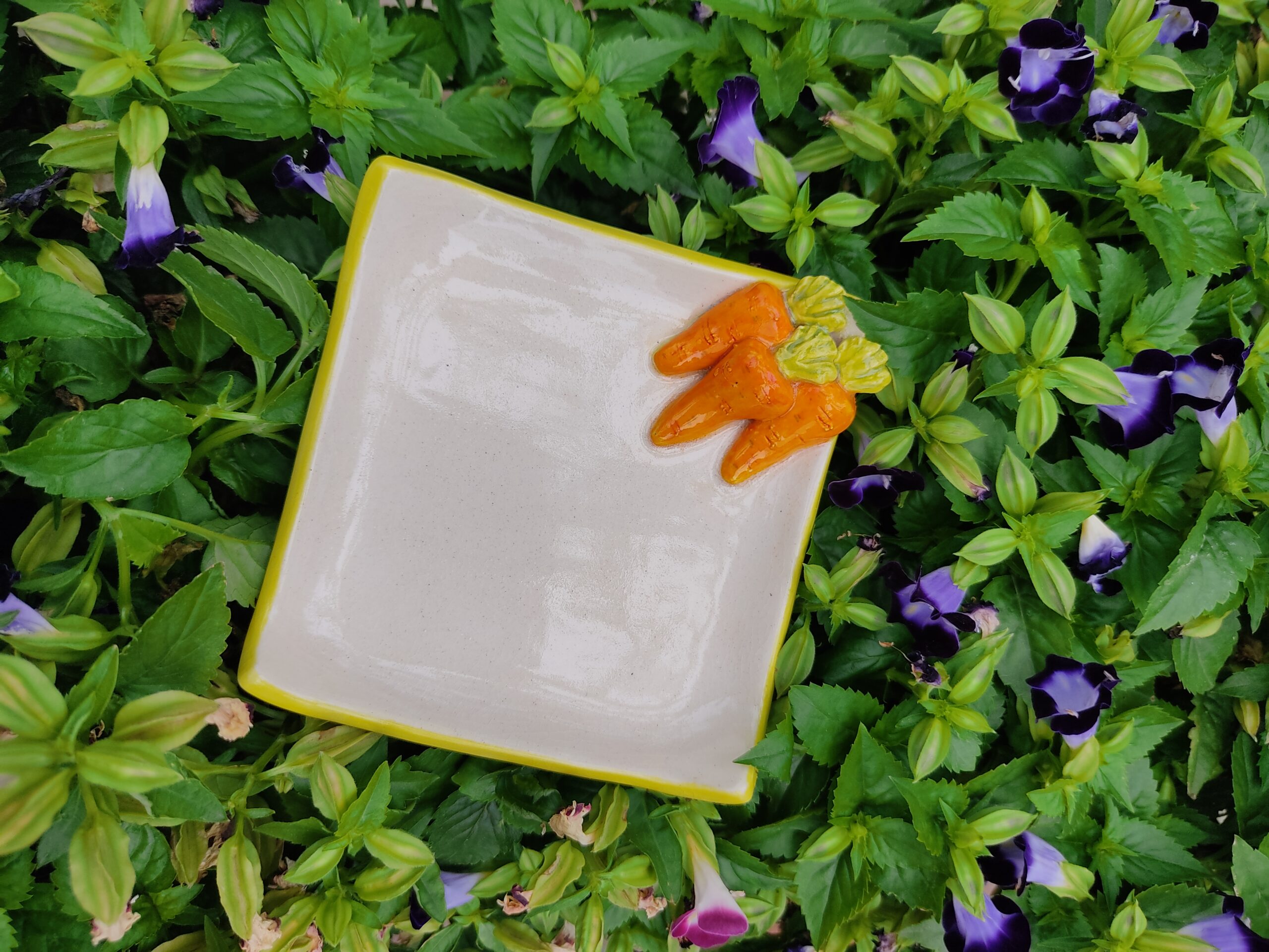 Carrot square small plate