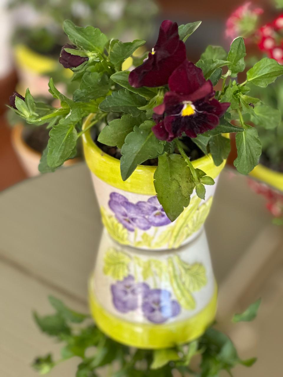Pansy Planter (pansy)