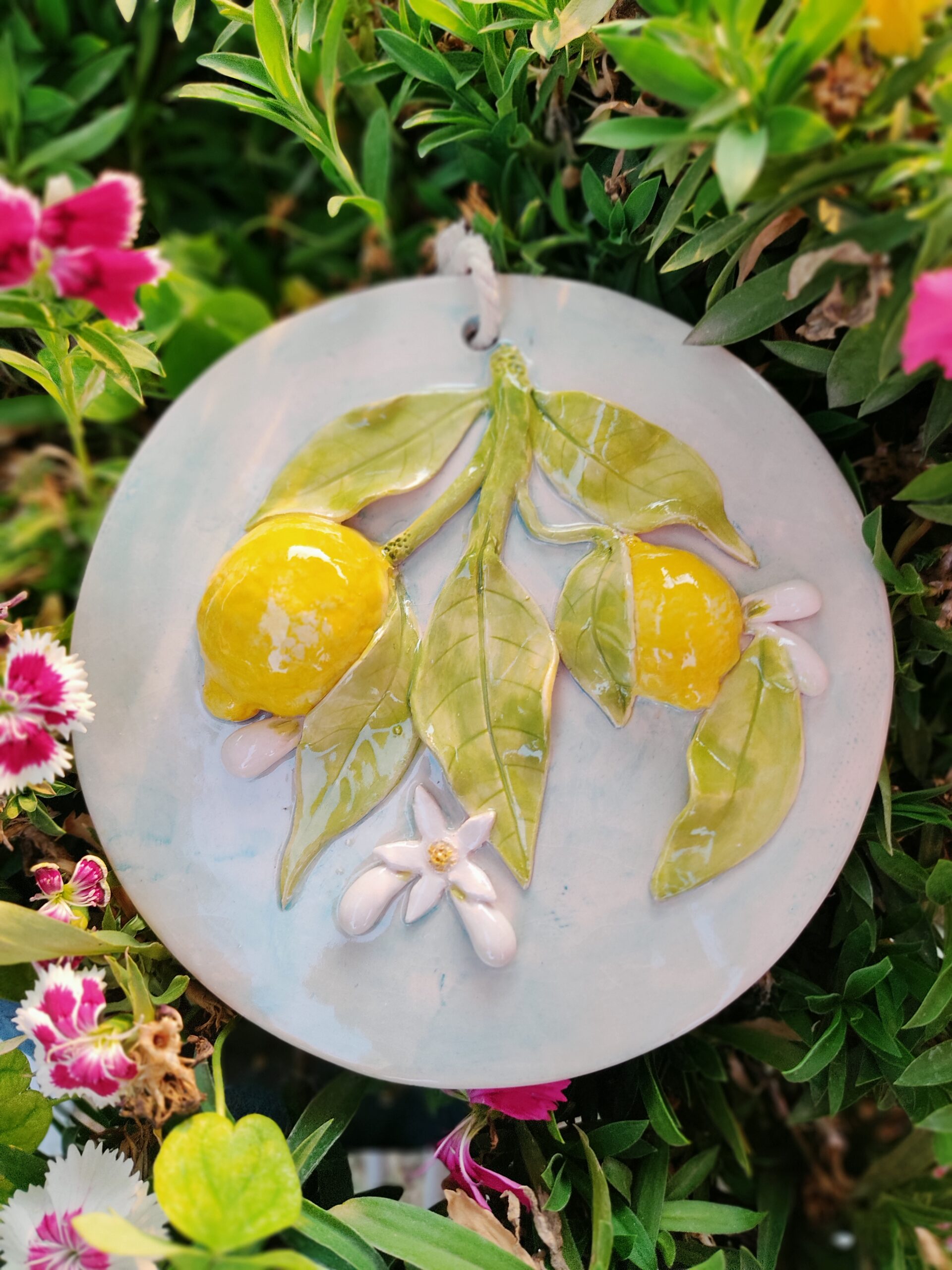 Lemon wall hanging (Round)