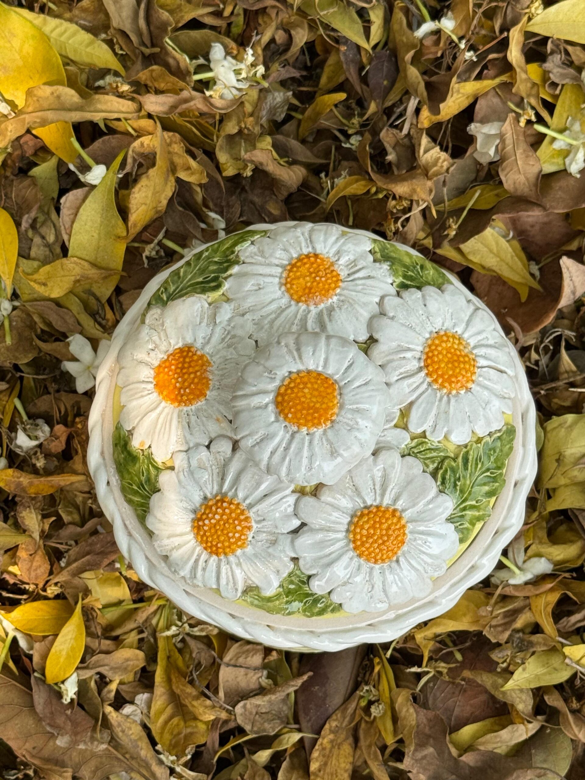 Beautiful Daisy box