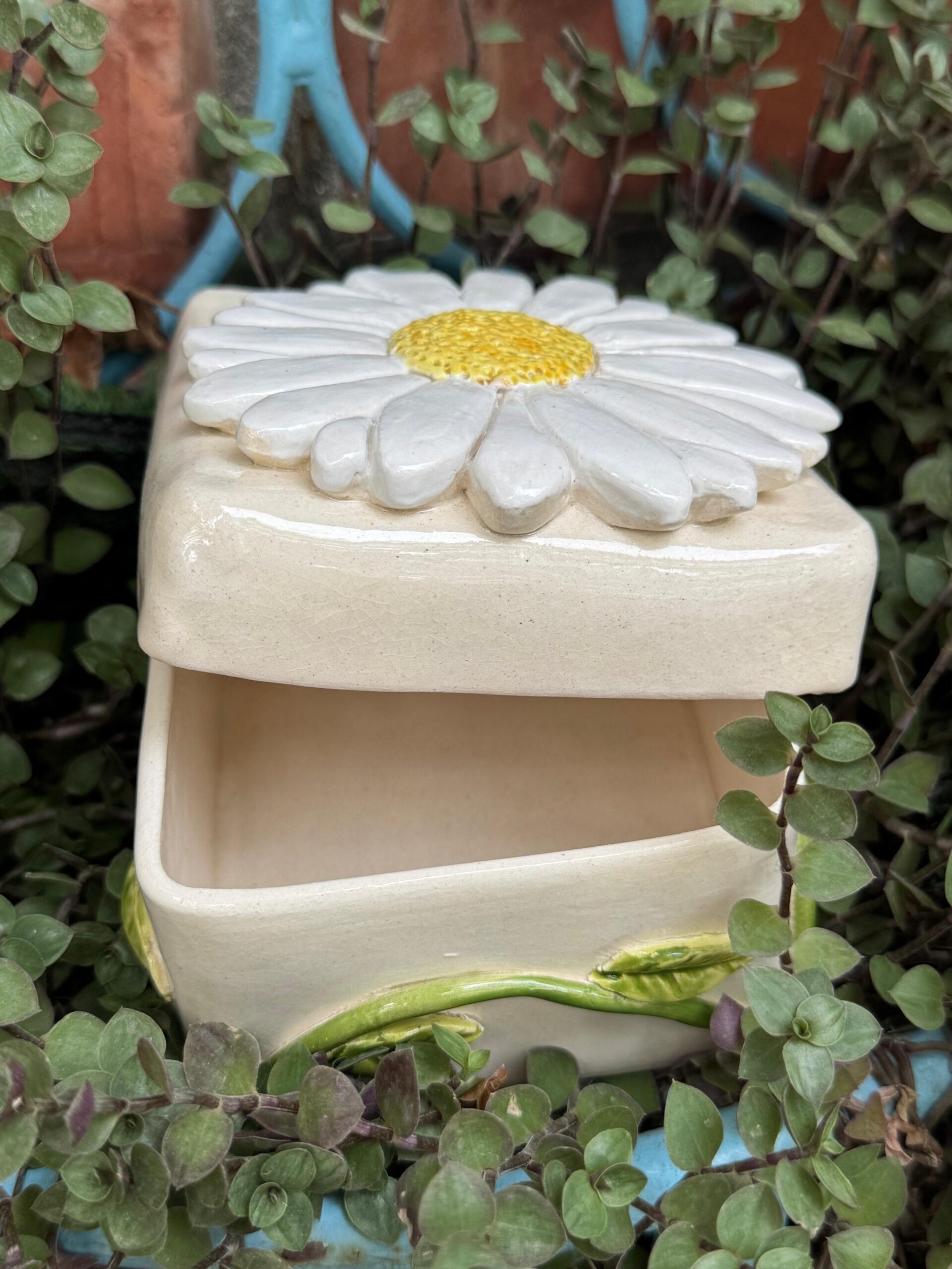 Daisy box with lid
