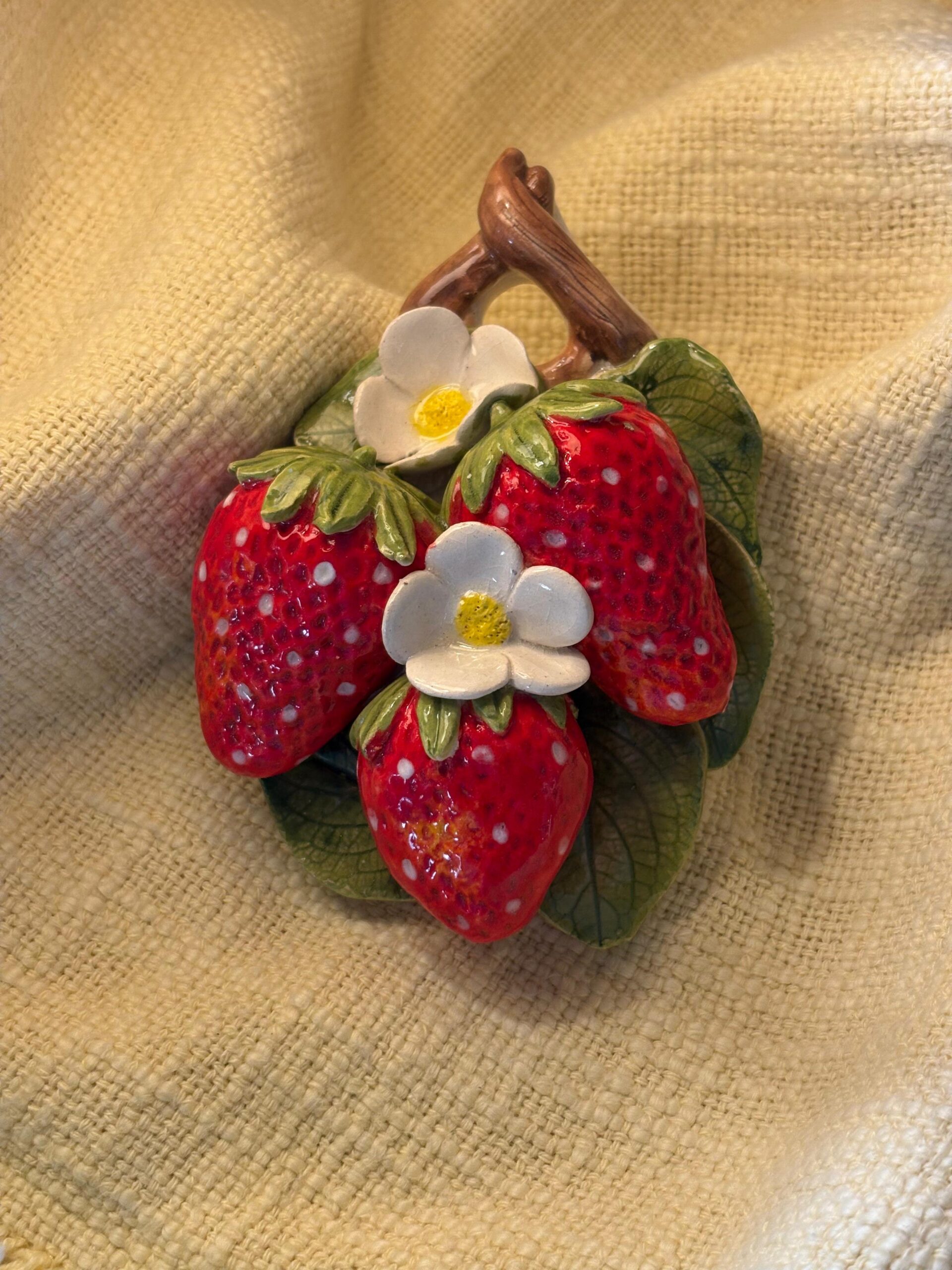 Strawberry 🍓 hanging