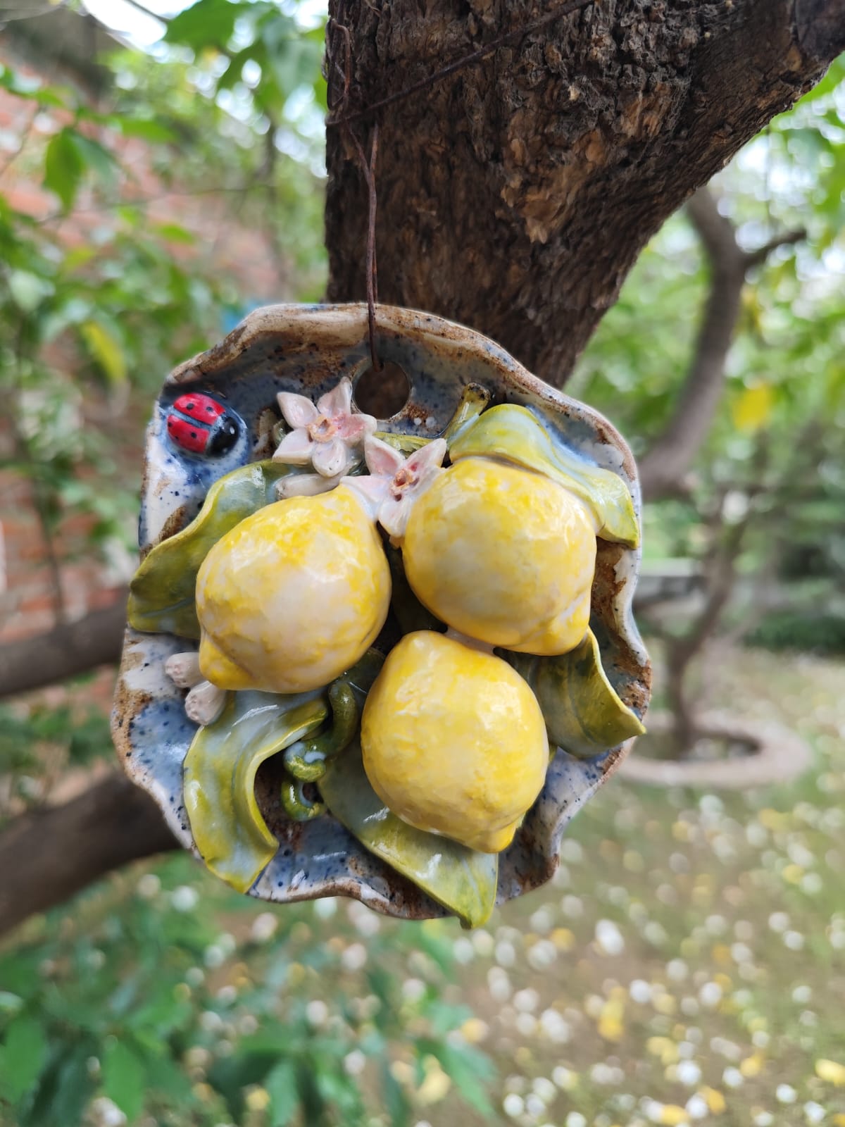 Lemon hanging 🍋
