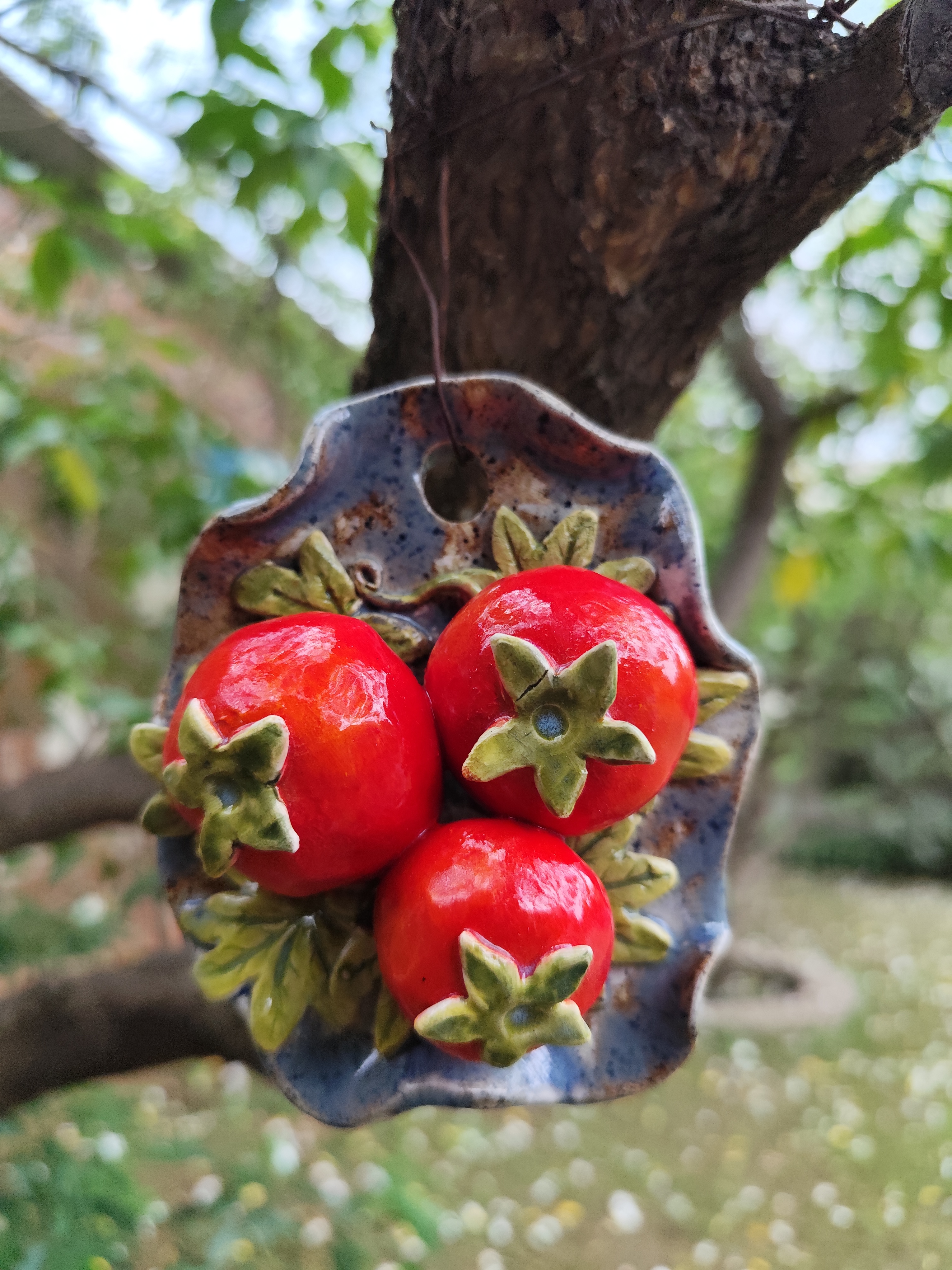 Tomato🍅 wall hanging